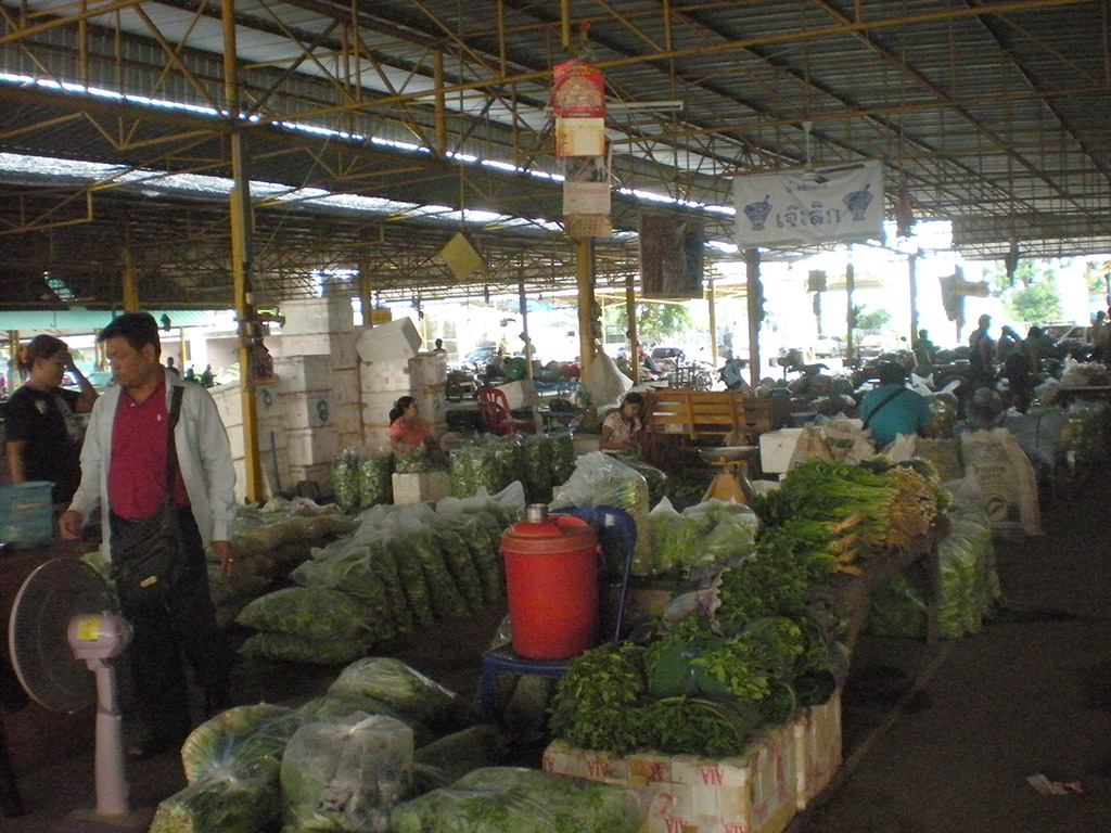 22185_ผัก.JPG