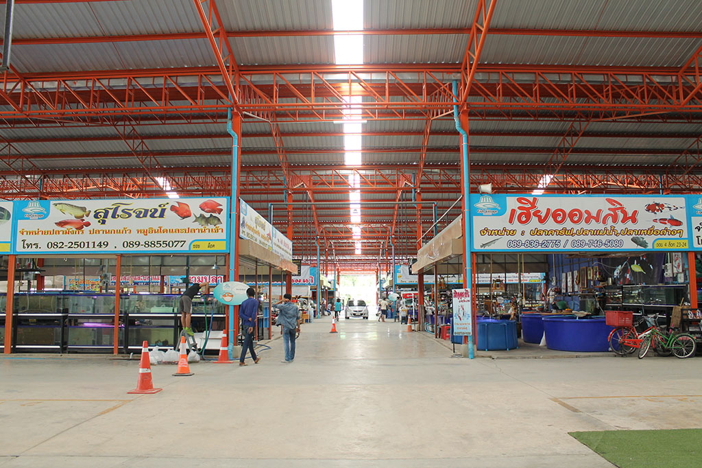 22150_อาคารปลาสวยงาม.JPG