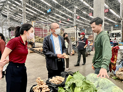 พาณิชย์ตรวจติดตามสถานการณ์ราคาผัก