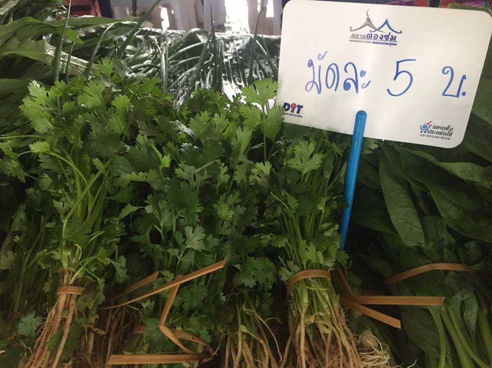 67881_แผงค้าผัก.jpg