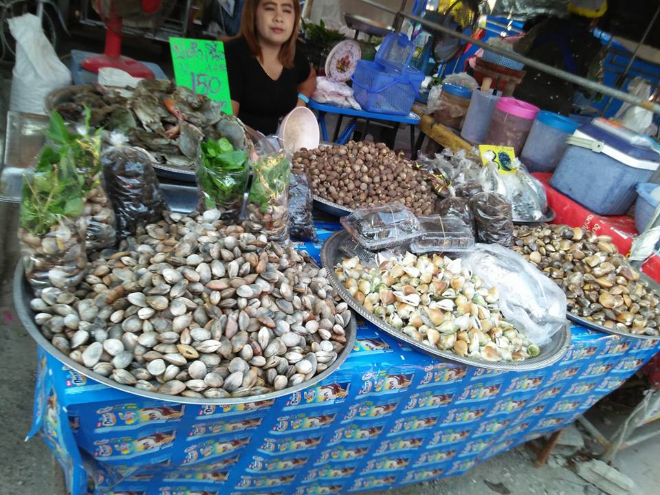44585_แผงค้า อาหารสด.jpg