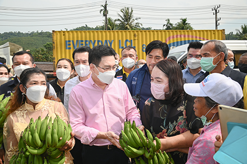 ตรวจติดตามสถานการณ์ราคาสินค้า