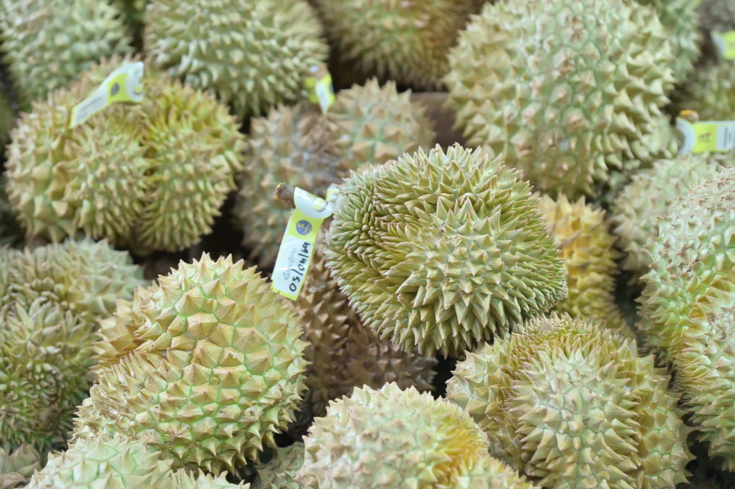 ข่าวเลขที่ 220/2569 กรมการค้าภายในต่อยอดความสำเร็จงาน “Premium Durian Fest 2026” ยกทุเรียนคุณภาพและผลไม้ไทยบุกสยามพารากอน ชวนคนไทยอุดหนุนช่วงโค้งสุดท้ายของฤดูกาลทุเรียนปีนี้ (4 กันยายน 2569)