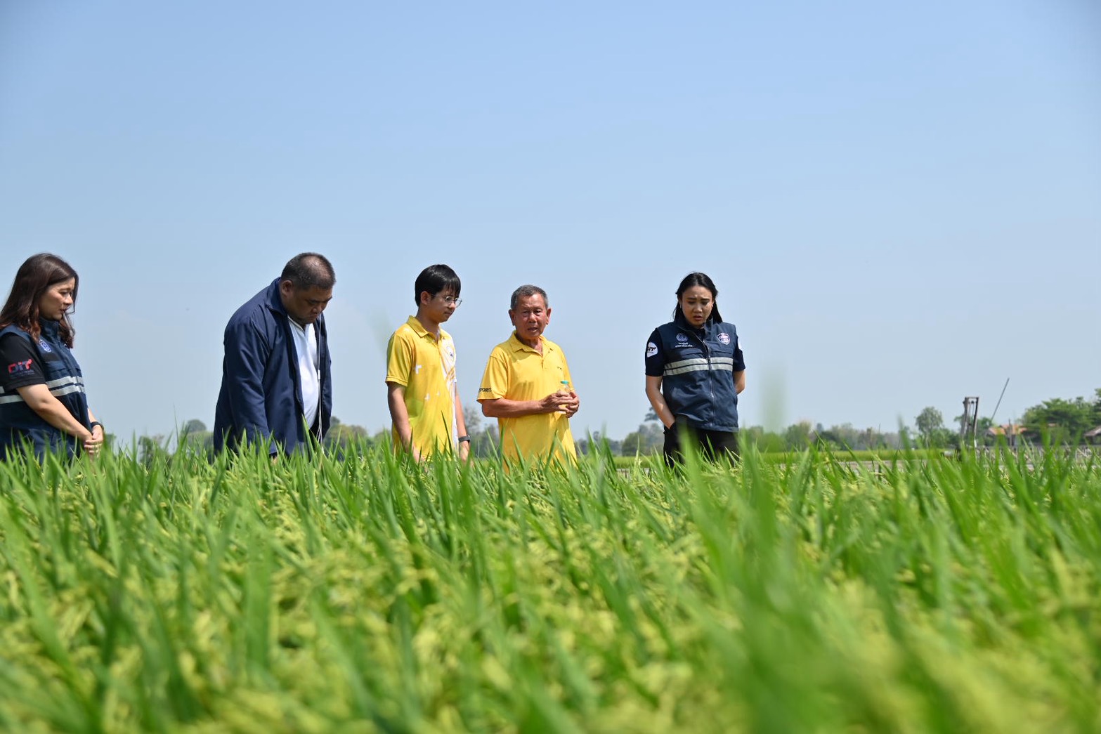  DIT ลงพื้นที่ “พิจิตรแซนด์บ็อกซ์”  กลุ่มเกษตรกรข้าวประณีตต้นแบบนาดำคาร์บอนต่ำ  เพิ่มผลผลิต ลดฝุ่น PM2.5 และตรวจสอบสถานีบริการน้ำมัน