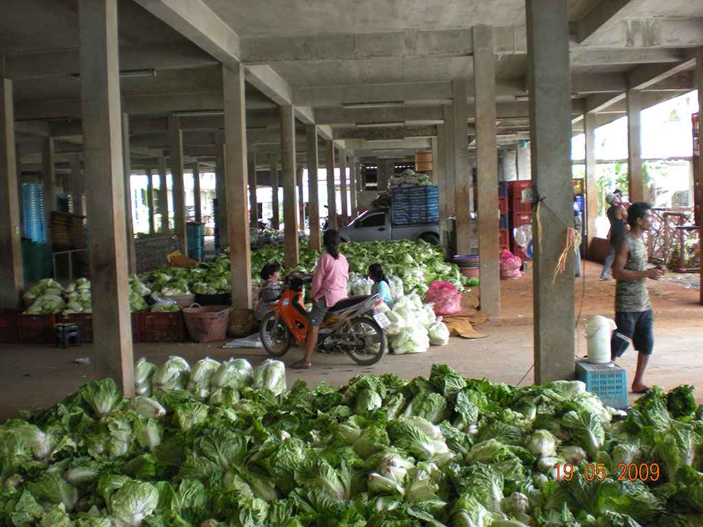 22114_สินค้าผัก.JPG