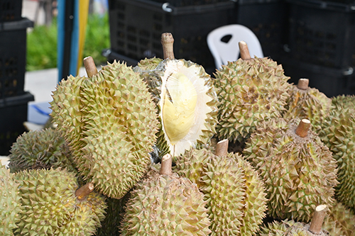 พาณิชย์ Fruit Festival 2023