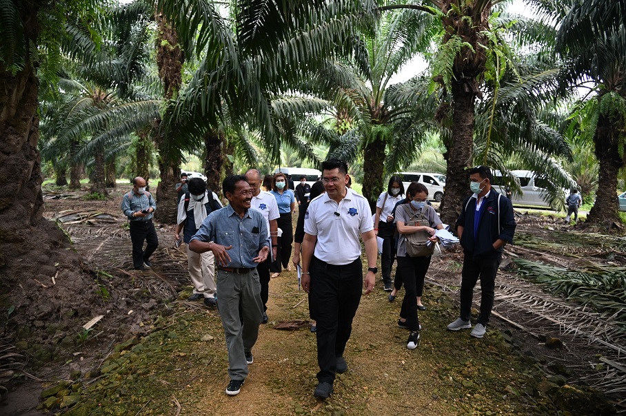 พาณิชย์ตรวจติดตามสถานการณ์ปาล์ม จังหวัดสุราษฎร์ธานี