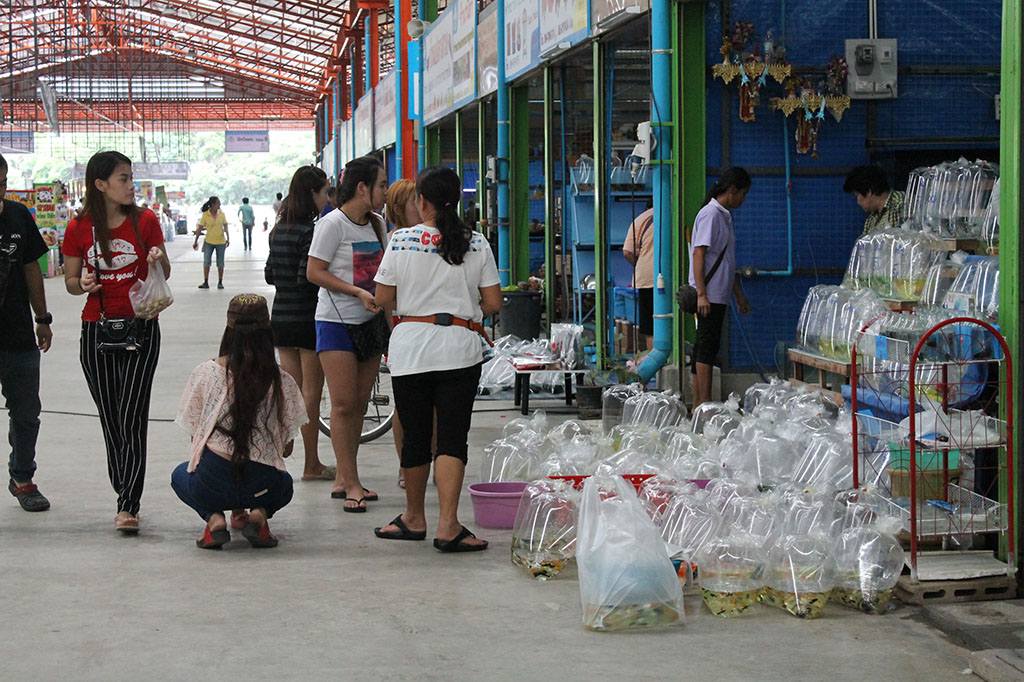 22159_คนมาซื้อ.JPG
