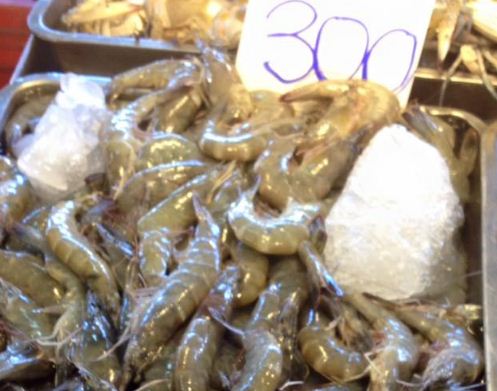 44570_ร้านขายกุ้ง.JPG