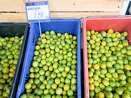 พาณิชย์นำ "มะนาว-มะม่วง" ขายผู้บริโภค @ตลาด Yes บางพลี และโมบายพาณิชย์