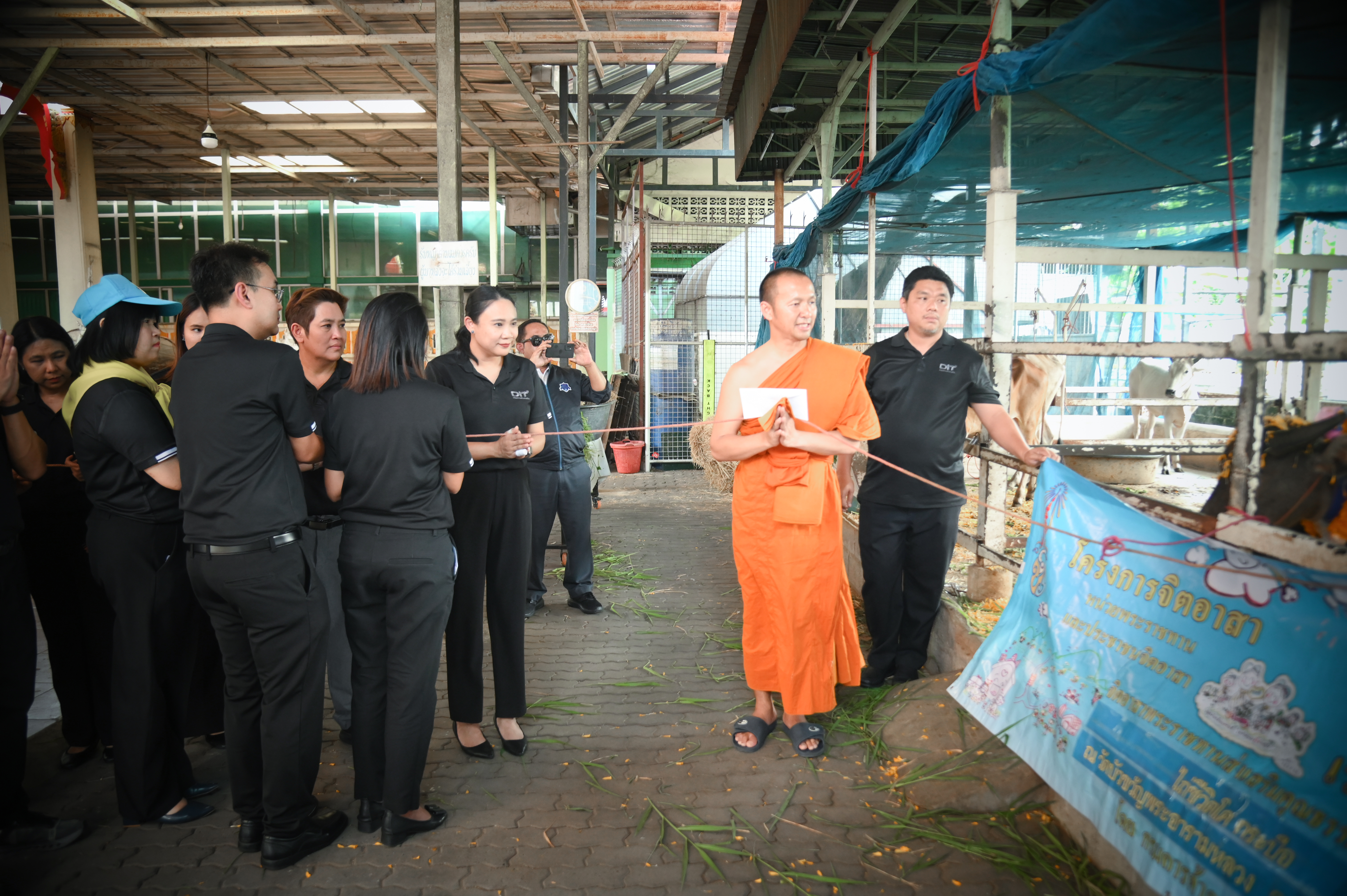 กิจกรรมจิตอาสาบำเพ็ญสาธารณประโยชน์และสาธารณกุศล “ ไถ่ชีวิตโค กระบือ “