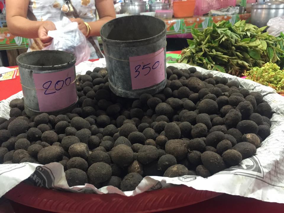 44922_แผงค้า ของป่า.jpg