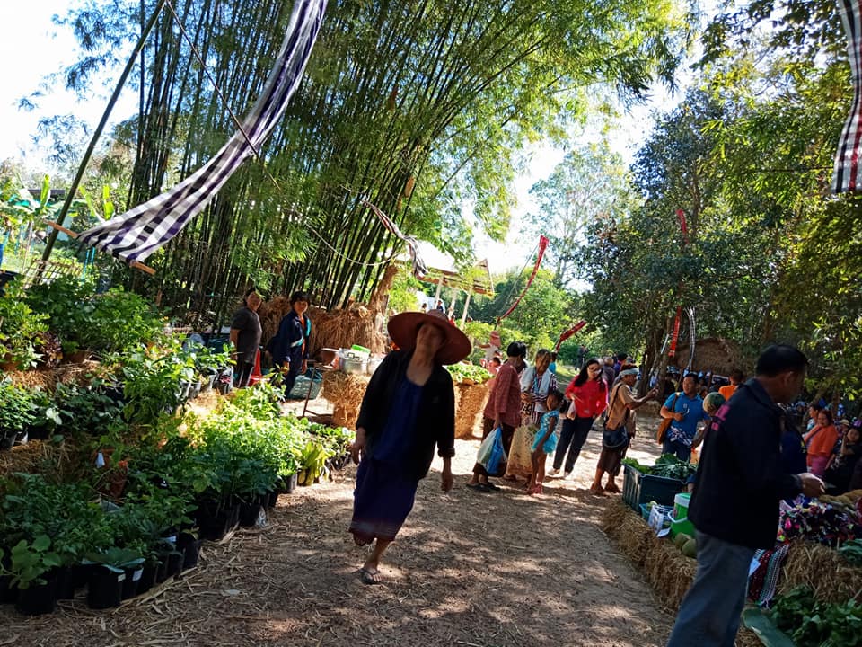 46996_บริเวณตลาด 1.jpg