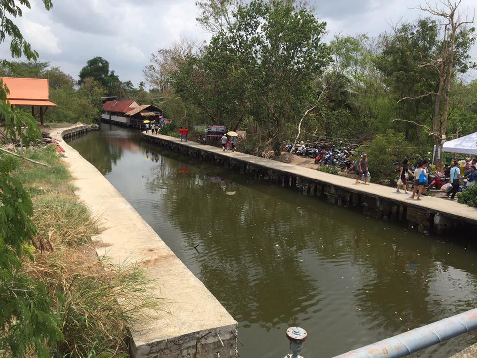 11413_บริเวณโดยรอบ 1.jpg