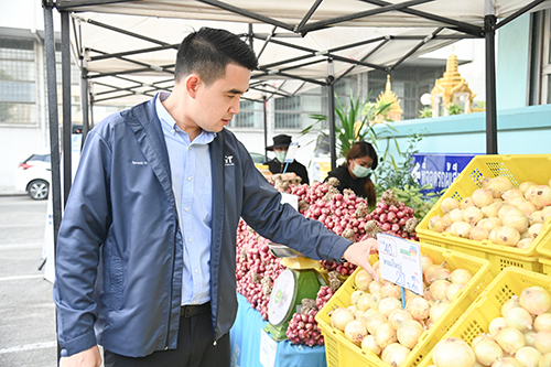 พาณิชย์ติดตามการจำหน่ายพืชสามหัว