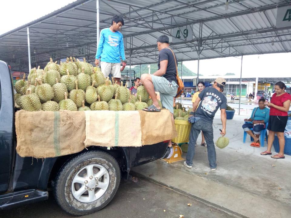 67900_สินค้าในตลาด.jpg