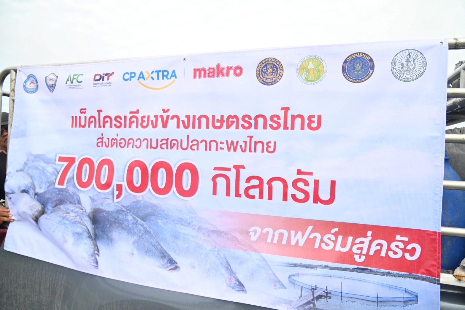 พาณิชย์ จับมือเอกชนปล่อยคาราวาน รับซื้อปลากะพง พร้อมขยายกิจกรรมรณรงค์บริโภคกุ้ง ช่วยเกษตรกร