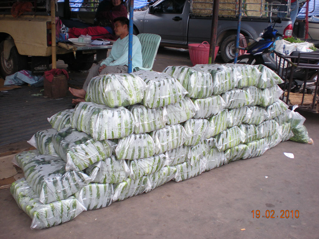 22091_สินค้าแตง.jpg