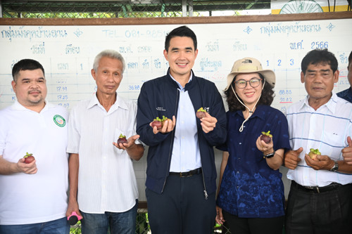 พาณิชย์ลงพื้นที่ติดตามสถานการณ์ผลไม้ภาคใต้ พร้อมร่วมงานวันเปิดฤดูเก็บเกี่ยวผลผลิตทุเรียน จังหวัดชุมพร 