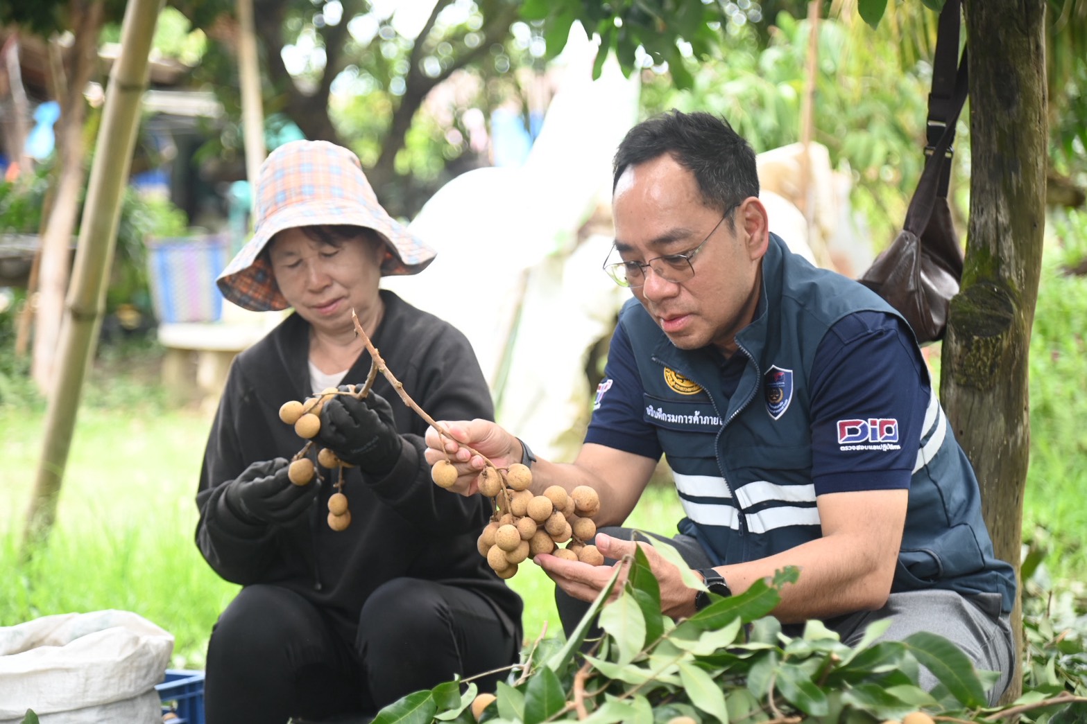 ข่าวเลขที่ 196/2569 “พาณิชย์” ลงพื้นที่เชียงใหม่–ลำพูน เกาะติดลำไยราคาดี เร่งกระจายผลผลิต–คุมคุณภาพ สร้างความมั่นใจเกษตรกร (14 สิงหาคม 2569)