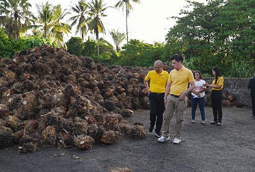 “พาณิชย์ลุยใต้”  ติดตามสถานการณ์ปาล์ม พร้อมตรวจเยี่ยมแหล่งสกัดน้ำมันปาล์มดิบและลานเทรับซื้อทะลายปาล์มน้ำมัน