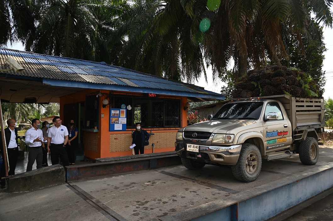 พาณิชย์ตรวจติดตามสถานการณ์ปาล์ม จังหวัดสุราษฎร์ธานี