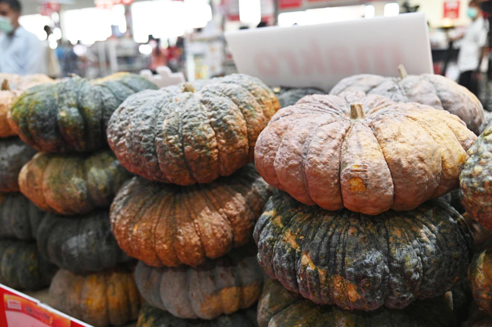 อธิบดีเปิดเทศกาลฟักทองช่วยเหลือเกษตรกรไทย สู้ภัยโควิด-19