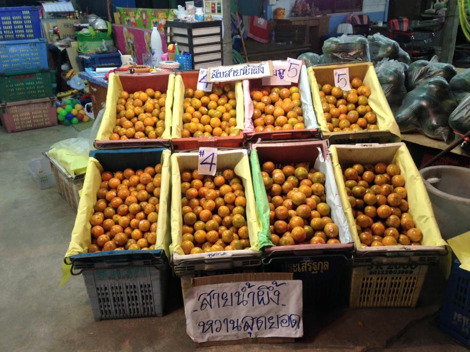 21949_ส้ม.jpg
