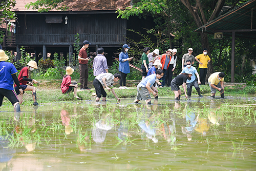 โครงการสืบสานพระปณิธานกษัตริย์เกษตรตามหลักเศรษฐกิจพอเพียง