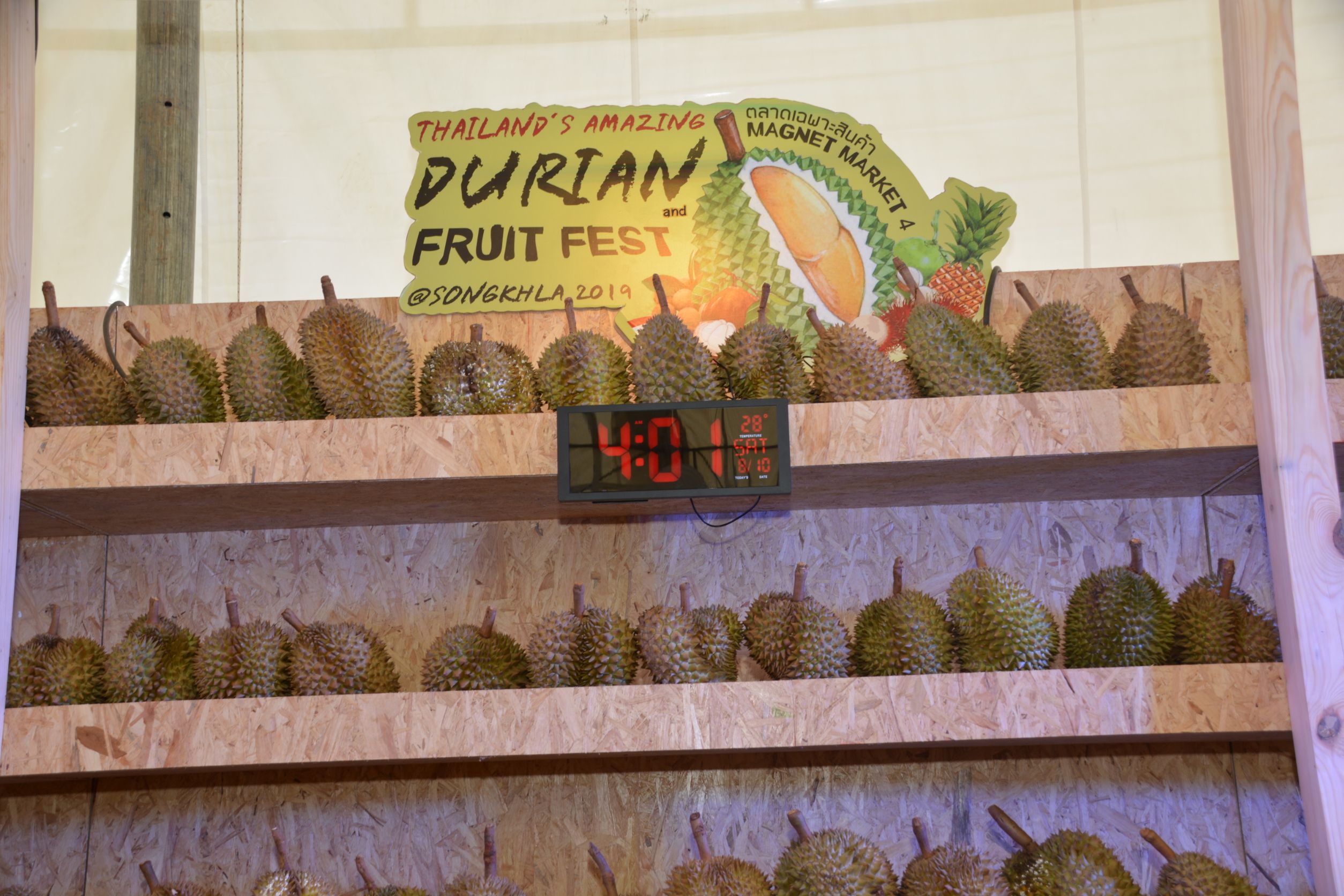 งาน “Thailand’s Amazing Durian and Fruit Fest 2019” 