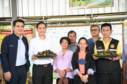 พาณิชย์ลงพื้นที่ติดตามผลไม้จังหวัดชุมพร