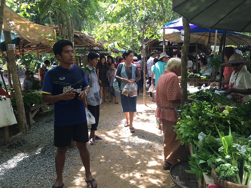 21393_บริเวณตลาด 5.jpg