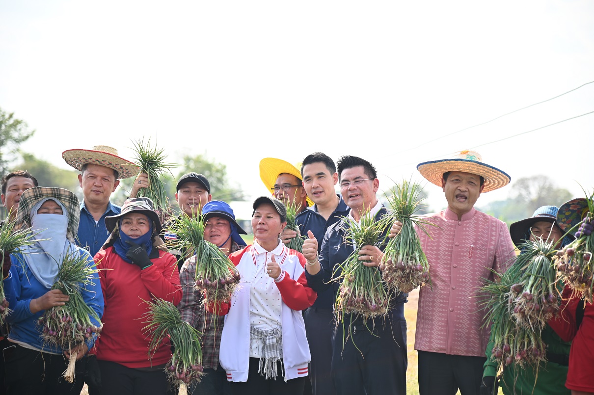 กรมการค้าภายในเชื่อมโยงผู้ประกอบการรับซื้อหอมแดงศรีสะเกษ 6,875 ตัน