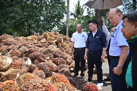 กรมการค้าภายใน ติดตามสถานการณ์ปาล์มน้ำมัน