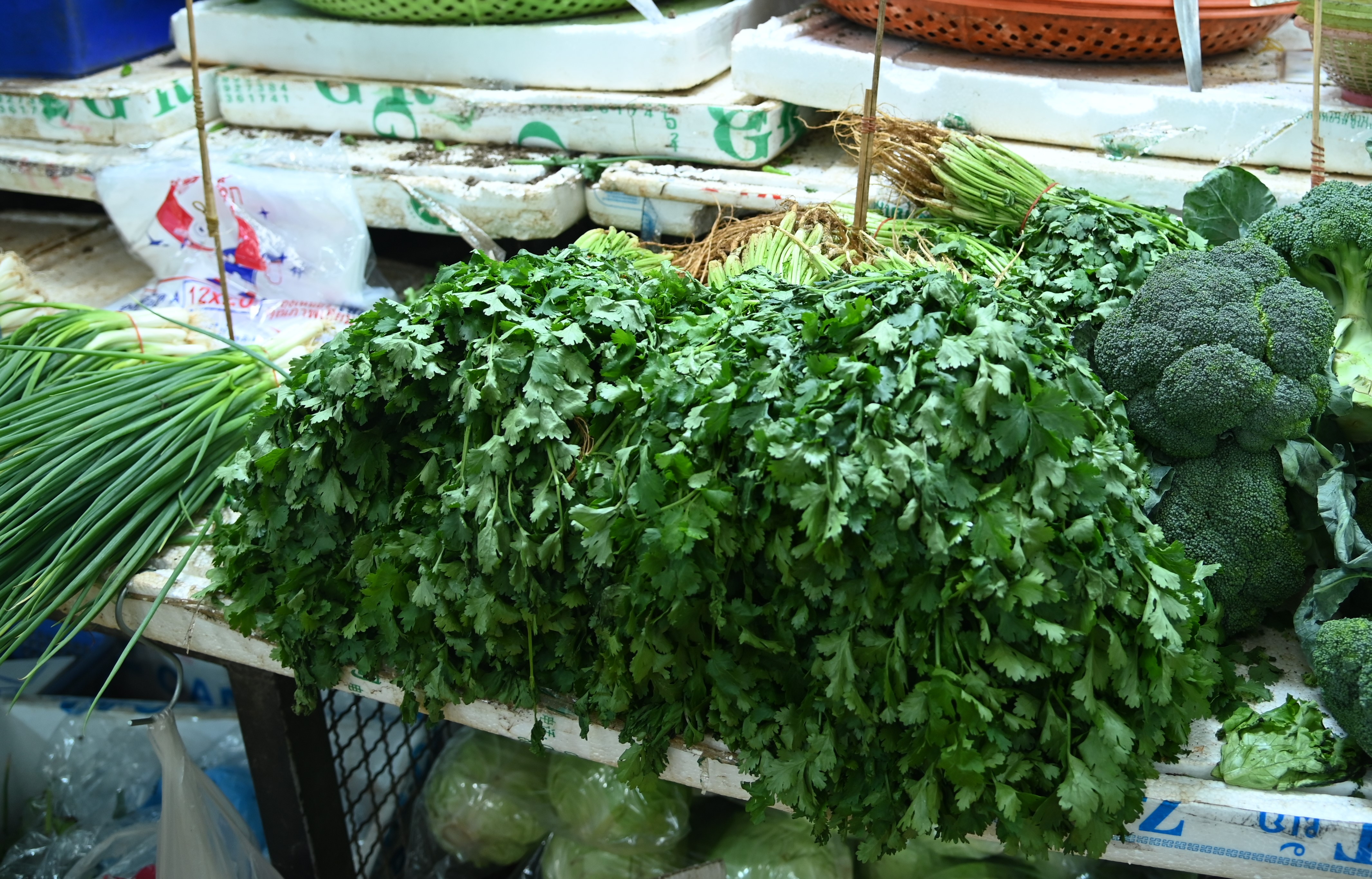 ข่าวเลขที่ 32/2569 DIT ลุยตรึงราคาผักชีปลายฝน! เร่งกระจายผลผลิตจากแหล่งอื่นเข้าทดแทน คาดราคาลดลงสัปดาห์หน้า (12 พฤศจิกายน 2568)