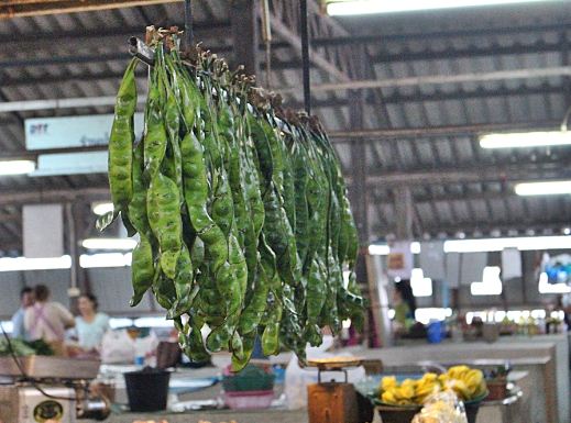 44434_ร้านขายสะตอ.JPG