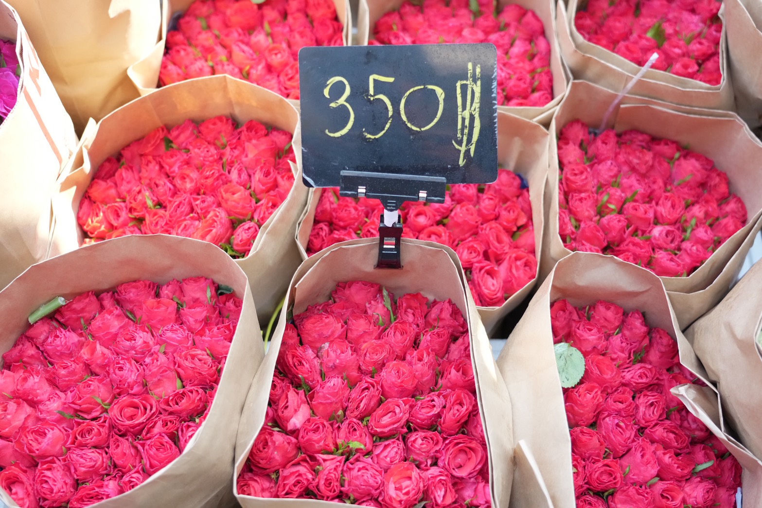 ข่าวเลขที่ 76/2569 “พาณิชย์” ลุยปากคลอง สำรวจตลาดดอกไม้วาเลนไทน์คึกคัก อากาศเย็นส่งผลให้ดอกไม้สวยและราคาถูกกว่าปีก่อน (14 กุมภาพันธ์ 2569)