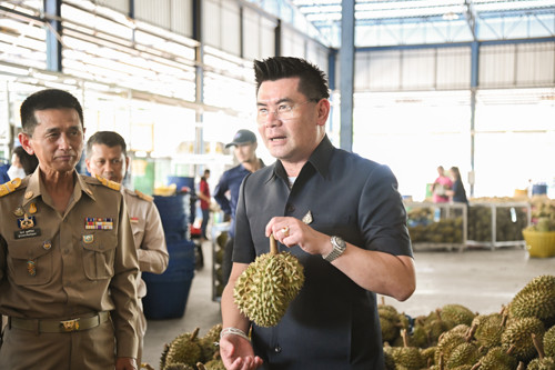 พาณิชย์ติดตามสถานการณ์ทุเรียนในพื้นที่จังหวัดชุมพร