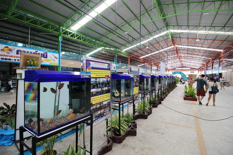22167_บริเวรโดยรอบ.jpg