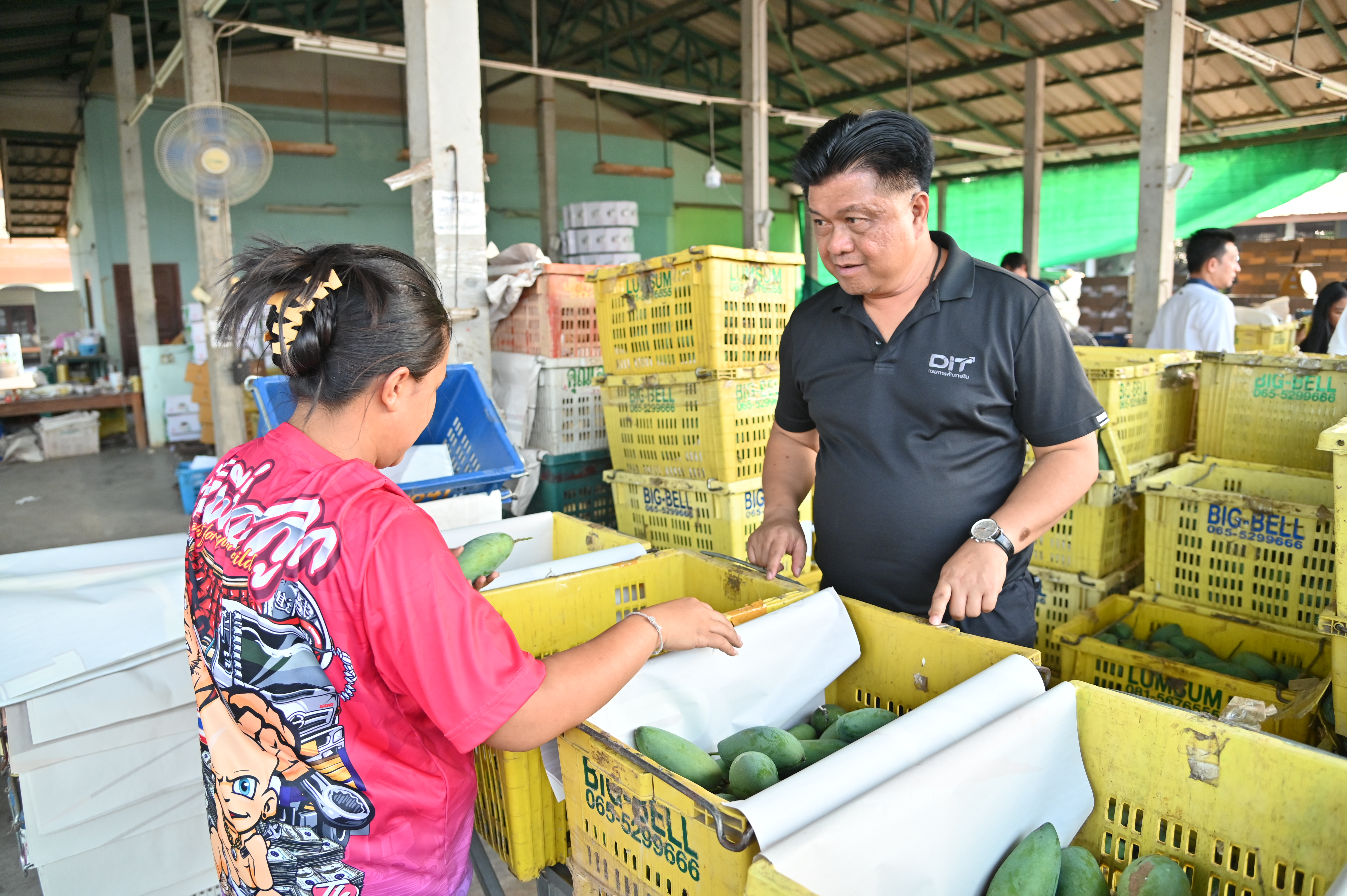 ข่าวเลขที่ 107/2569 “กรมการค้าภายใน ผนึกกำลังหน่วยงานพันธมิตร ลุยช่วยมะม่วงภาคเหนือตอนล่าง รับซื้อผลผลิตจากเกษตรกรเพิ่มเติม” (7 เมษายน 2569)