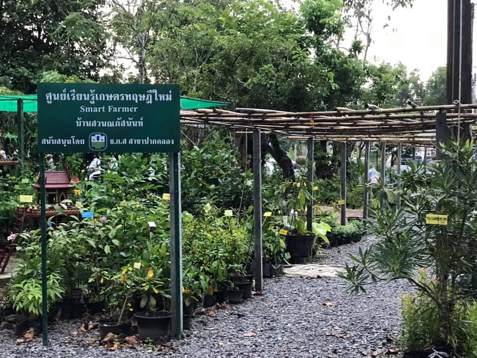 78065_บริเวณตลาด.jpg