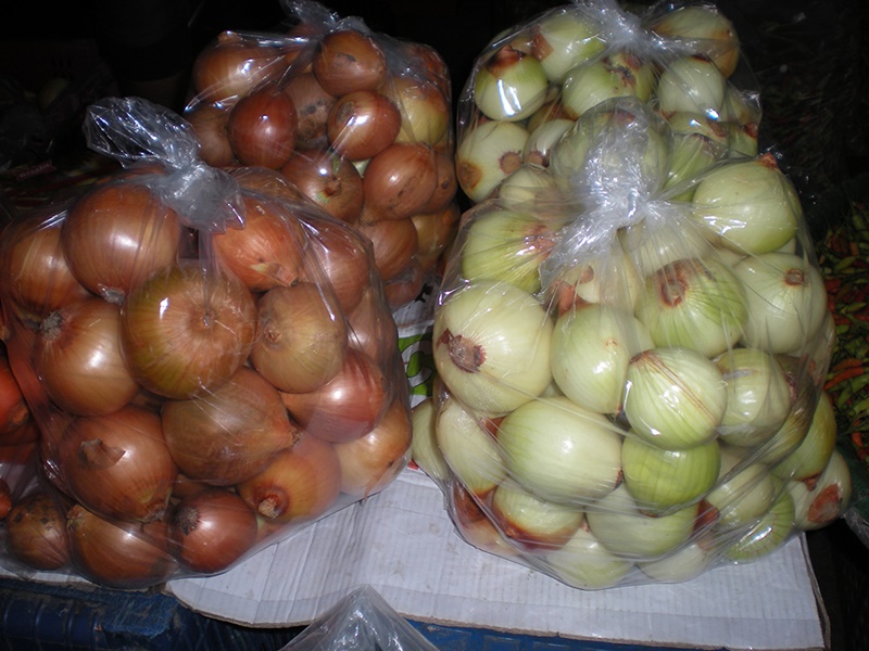22104_หอมใหญ่.JPG