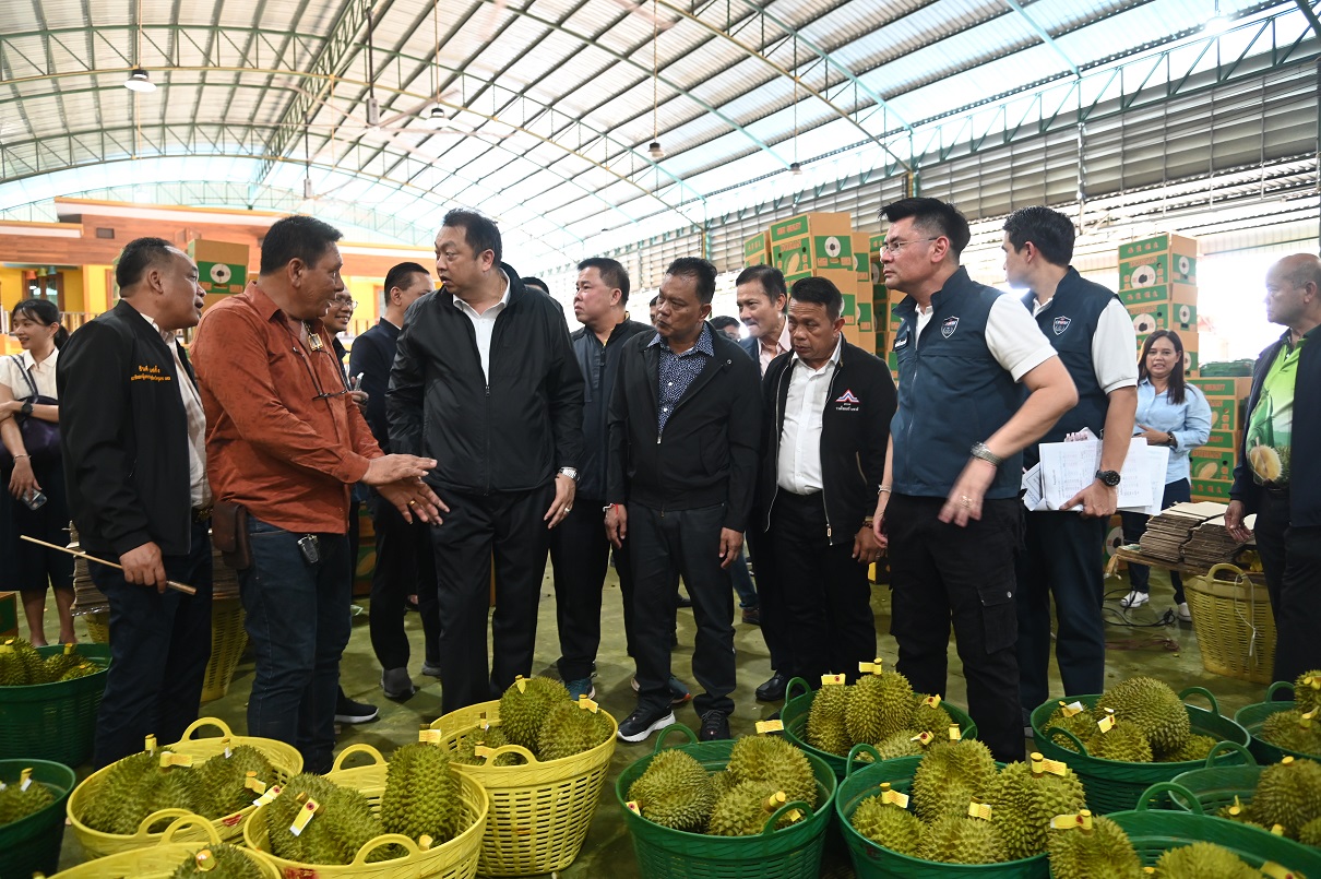 พาณิชย์ขับเคลื่อนมาตรการบริหารจัดการผลไม้ปี 2567 (ทุเรียนใต้)