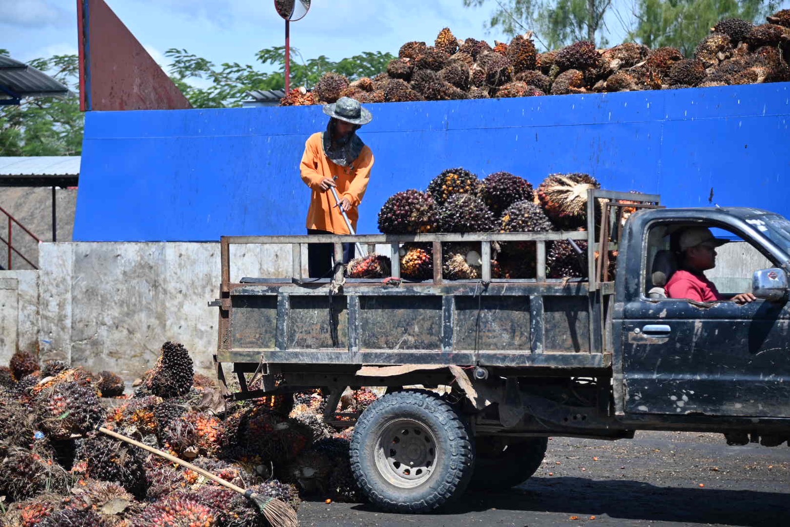 ข่าวเลขที่ 77/2569 DIT ลงพื้นที่สุราษฎร์ฯ ติดตามสถานการณ์ปาล์มน้ำมัน หารือสภาเกษตรกรฯ วางแผนบริหารรับซื้อช่วงผลผลิตกระจุกตัว (16 กุมภาพันธ์ 2569)