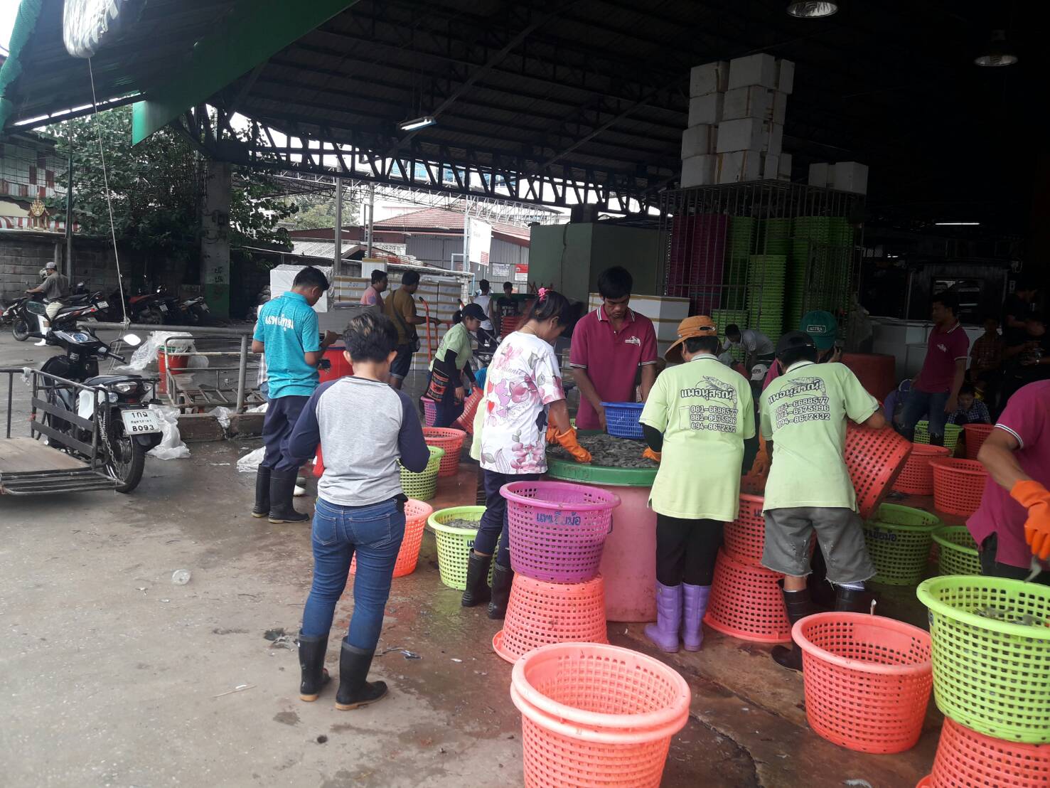 78298_ภายในตลาด.jpg