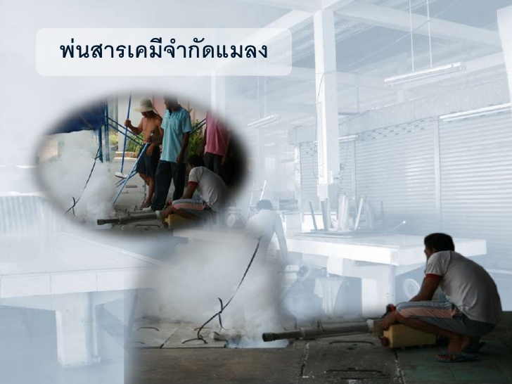 44399_พ่นสารกำจัดแมลง.jpg
