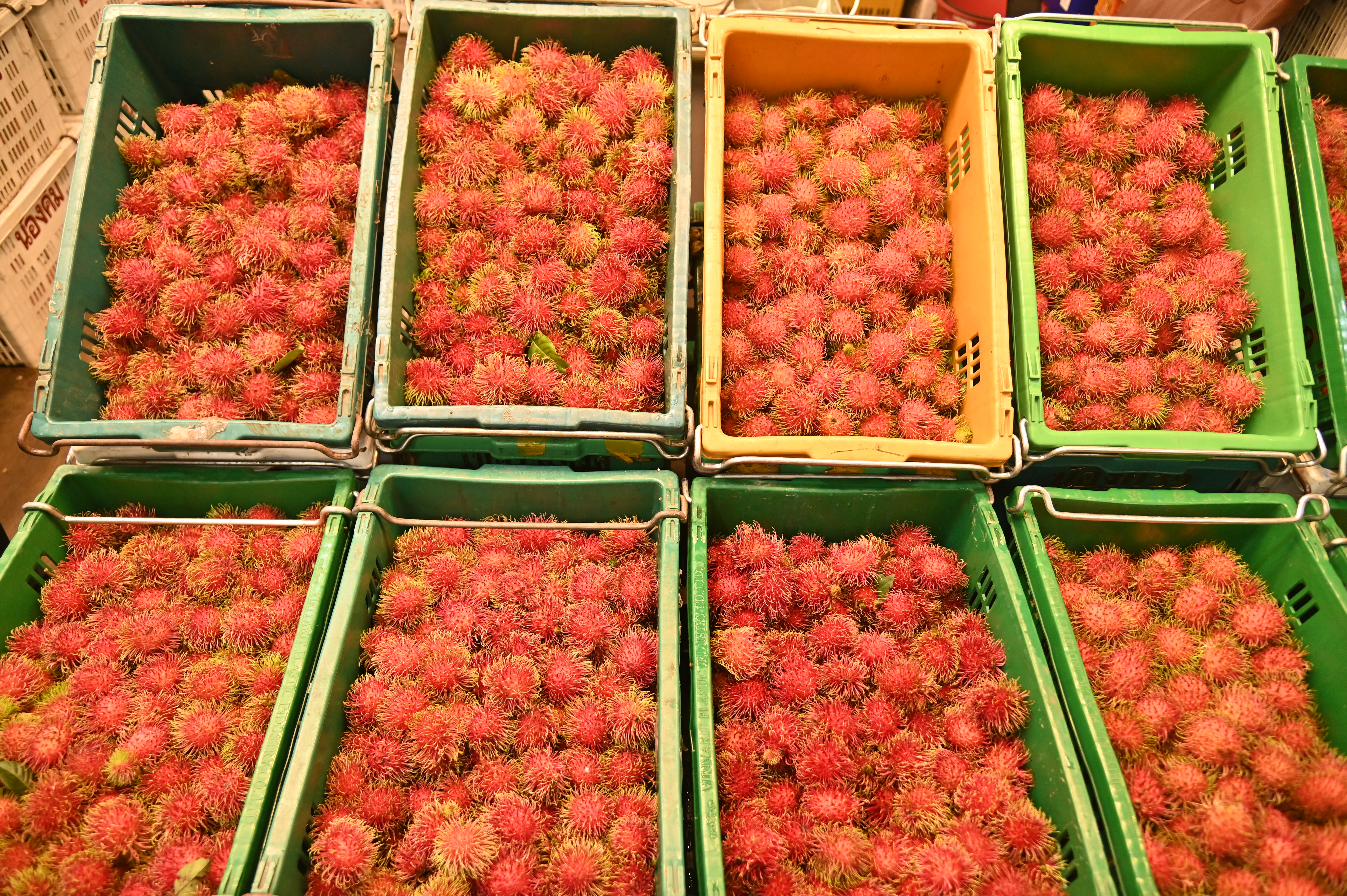 ข่าวเลขที่ 158/2569 พาณิชย์ลุยบริหารจัดการผลไม้ปี 69 ดึงตลาดกลาง–ตลาดสดทั่วประเทศดูดซับผลผลิต หนุนรายได้เกษตรกร (6 มิถุนายน 2569)