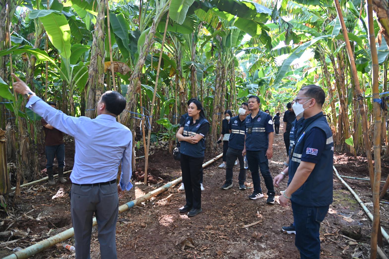 DIT ลุยพื้นที่จ.ตาก ติดตามสถานการณ์การการค้าชายแดน สร้างการรับรู้การจำหน่ายวัสดุเหลือใช้จากการเพาะปลูก พร้อมติดตามสถานการณ์การรับซื้อข้าวโพดเลี้ยงสัตว์  และหารือแนวทางการการปลูกกล้วยหอมทอง 