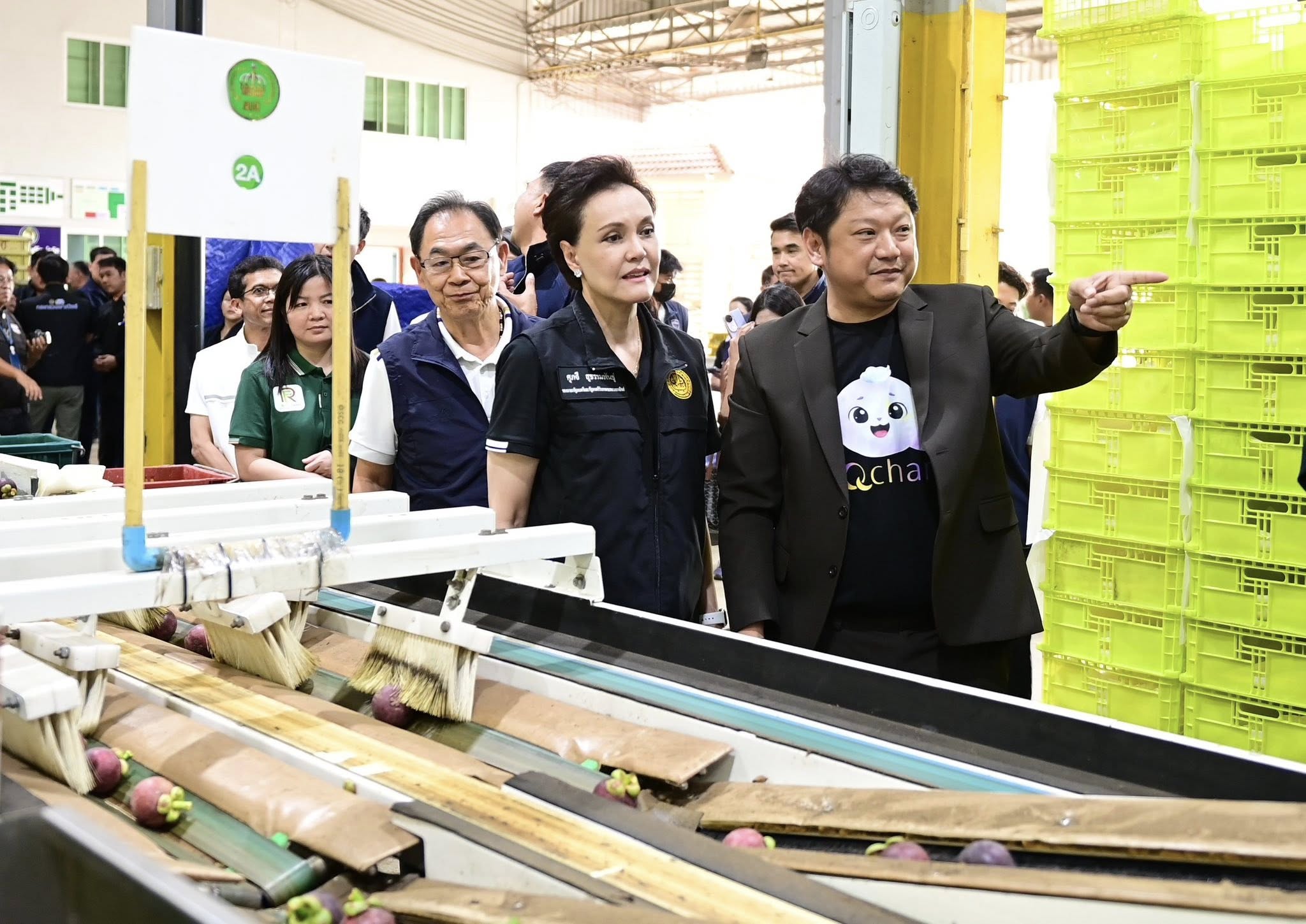 พาณิชย์ ลงพื้นที่ติดตามสถานการณ์มังคุด  เชื่อมโยงตลาด ผลักดันส่งออก   รับมือผลผลิตออกมากช่วง พ.ค.-มิ.ย.