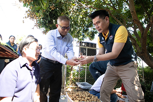 ตรวจติดตามการรับซื้อ “ลำไย” ภายใต้โครงการรณรงค์บริโภคผลไม้